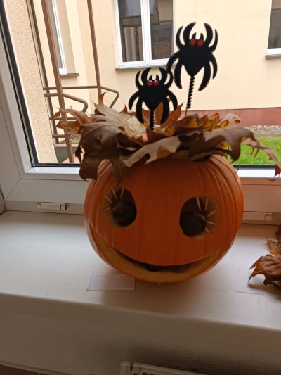 577065246 1370981527707159 7321516689040942310 n