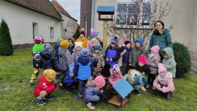 zdjęcie do
														 artykułu: Karmnik dla ptaków 