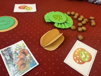 zdjęcie do
														 artykułu: Na tropie zdrowego odżywiania-Kiwi