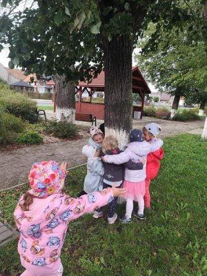 zdjęcie do
														 artykułu: Dzień Drzewa