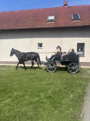 zdjęcie do
														 artykułu: Dzień  Konia 