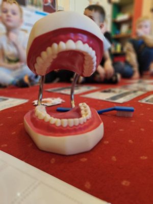 zdjęcie do
														 artykułu: Dzień Dentysty 
