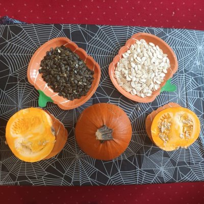 zdjęcie do
														 artykułu: Dzień dyni